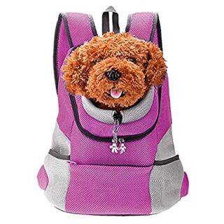 Double Shoulder Dog Walking Backpack - Purple, S - Dog Cat