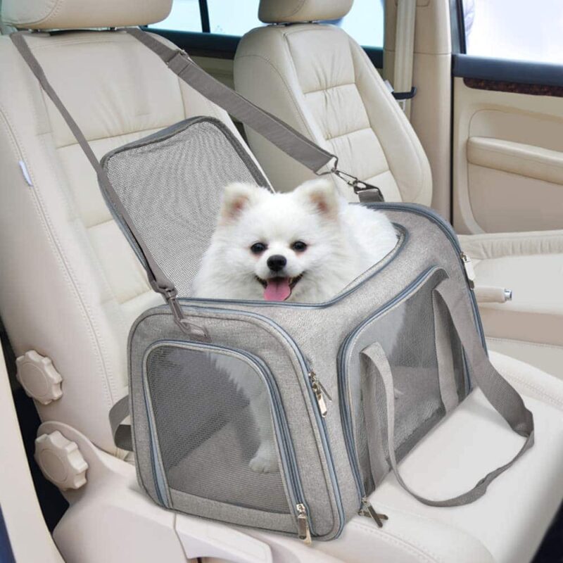 Pet Travel Backpack