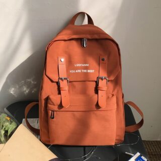 Trendy new teenage backpack in brown with white background