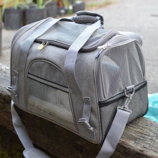 Mesh Animal Travel Backpack - Light Grey, S - Dog Cat