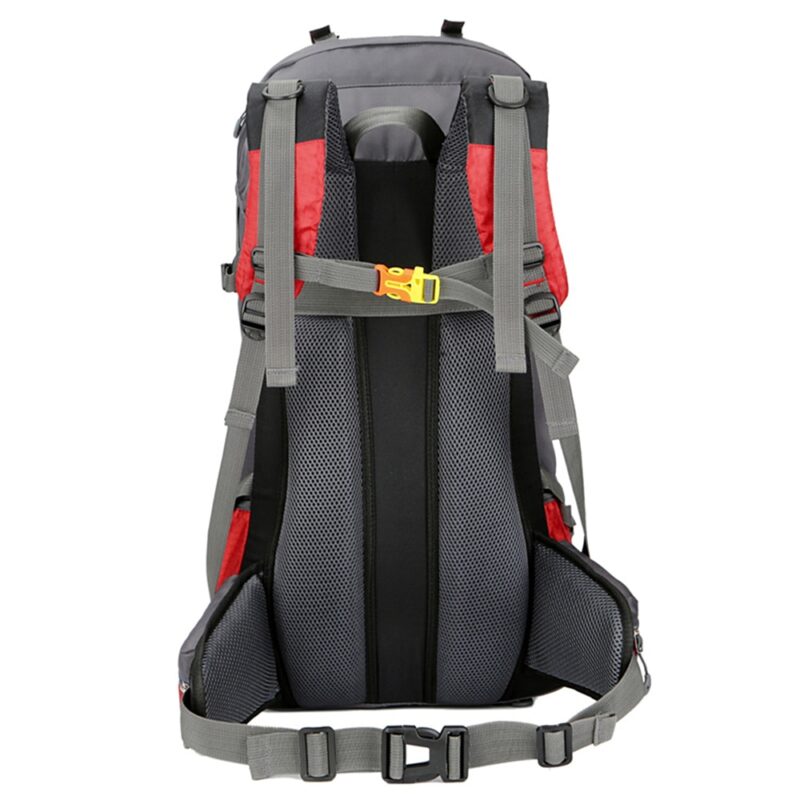 60L Ski Backpack