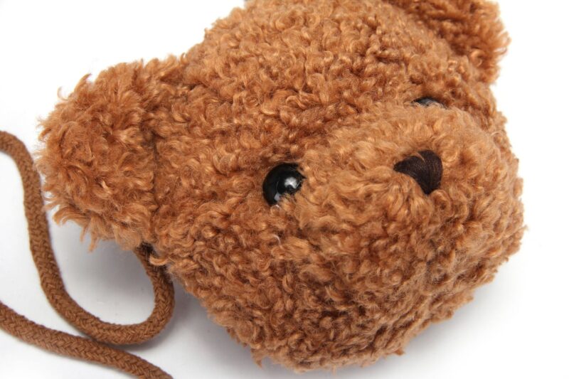 Teddy Bear Shoulder Bag For Children