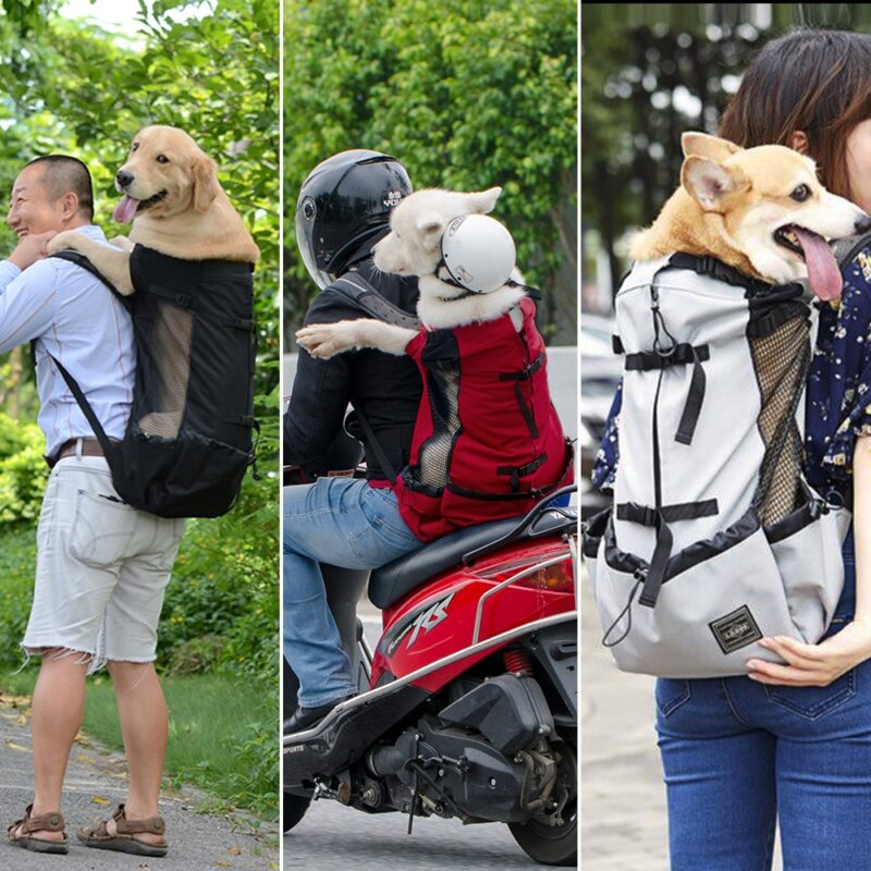 Backpack For Large Dogs