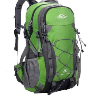 Ski backpack with green and grey spinal adjustment with white background